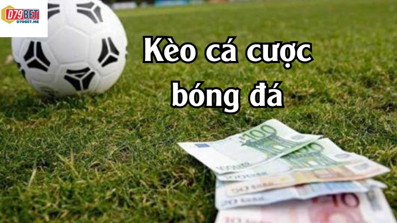 Sảnh cá cược thể thao hấp dẫn tại nhà cái D79bet